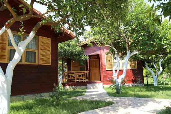 Mercan Bungalow Transfer Antalya